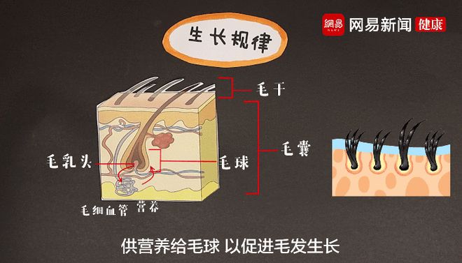 1657676493201307.jpg 下载.jpg