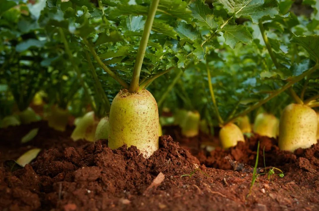 1665652293211029.jpeg 2fb19eeb50172fbebd06bdb4f59cd0bc.jpeg