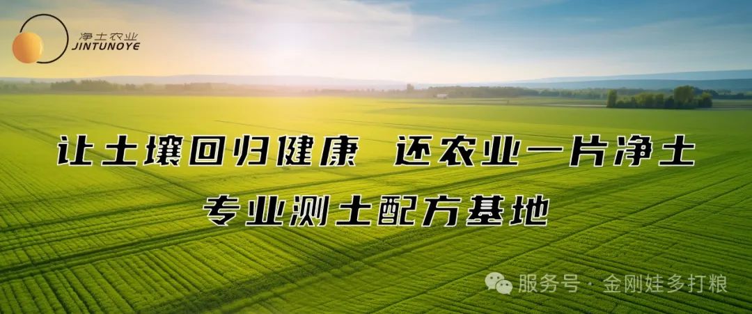 1745161072199058.jpg 640 (3).jpg